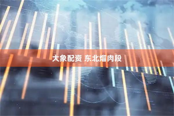 大象配资 东北熘肉段